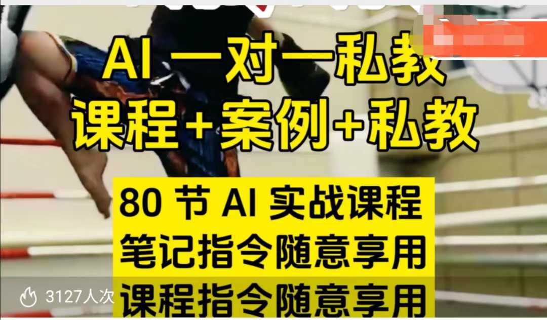 AI指令实战课，课程+案例，80节AI实战课程，笔记指令随意享用，课程指令随意享用（更新7月）网络赚钱,项目资源网,副业资源网,兼职项目,网赚课程-副业赚钱-互联网创业-独家轻创IP小蜜蜂网创
