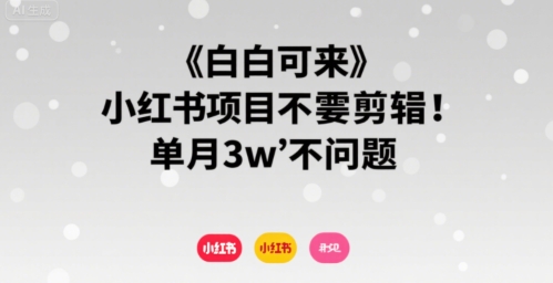 小白可来 小红书项目不需要剪辑 单月3w不是问题网络赚钱,项目资源网,副业资源网,兼职项目,网赚课程-副业赚钱-互联网创业-独家轻创IP小蜜蜂网创