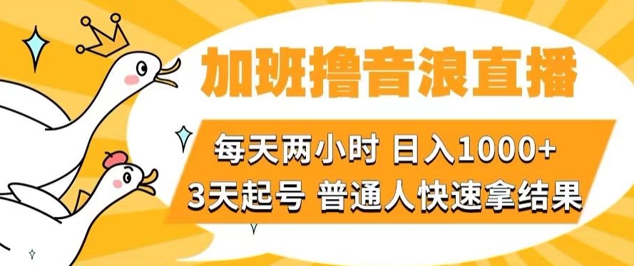 加班撸音浪直播，每天两小时，日入1000+，直播话术才3句，3天起号，普通人快速拿结果【揭秘】网络赚钱,项目资源网,副业资源网,兼职项目,网赚课程-副业赚钱-互联网创业-独家轻创IP小蜜蜂网创