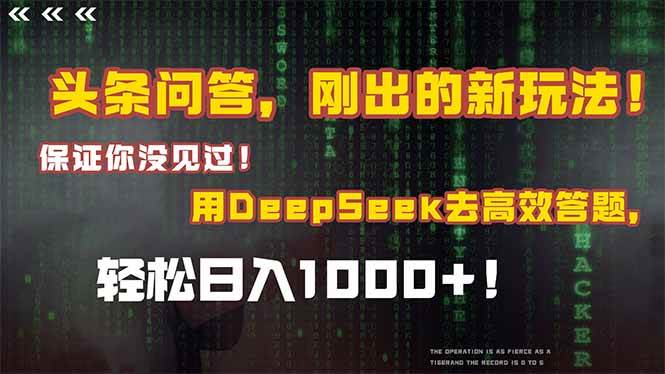 （15217期）头条问答，刚出的新玩法！保证你没见过！结合Deepseek高效答题，日入1000+网络赚钱,项目资源网,副业资源网,兼职项目,网赚课程-副业赚钱-互联网创业-独家轻创IP小蜜蜂网创