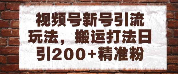 视频号新号引流玩法，搬运打法日引200+精准粉，可矩阵放大【揭秘】网络赚钱,项目资源网,副业资源网,兼职项目,网赚课程-副业赚钱-互联网创业-独家轻创IP小蜜蜂网创
