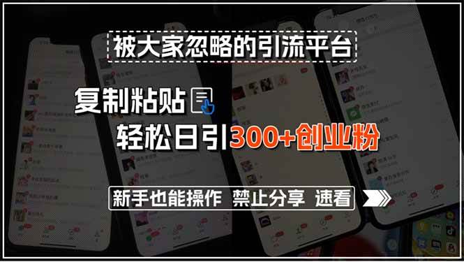 （15428期）被大家忽略的引流平台，复制粘贴轻松日引300+创业粉，新手也能操作，禁…网络赚钱,项目资源网,副业资源网,兼职项目,网赚课程-副业赚钱-互联网创业-独家轻创IP小蜜蜂网创