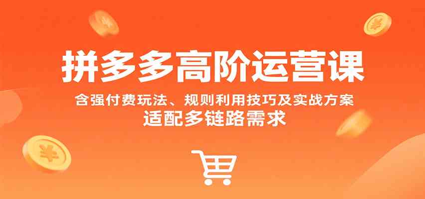 拼多多高阶运营课，含强付费玩法、规则利用技巧及实战方案，适配多链路需求网络赚钱,项目资源网,副业资源网,兼职项目,网赚课程-副业赚钱-互联网创业-独家轻创IP小蜜蜂网创