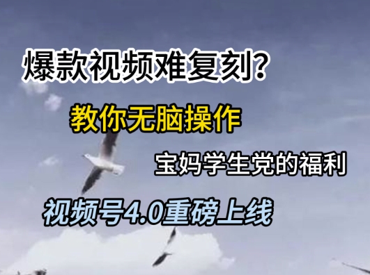 视频号4.0重磅上线，爆款视频难复刻？教你无脑操作宝妈学生党的福利【揭秘】网络赚钱,项目资源网,副业资源网,兼职项目,网赚课程-副业赚钱-互联网创业-独家轻创IP小蜜蜂网创
