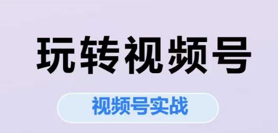 玩转视频号，视频号实战系列课网络赚钱,项目资源网,副业资源网,兼职项目,网赚课程-副业赚钱-互联网创业-独家轻创IP小蜜蜂网创