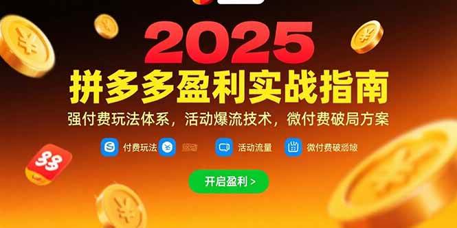 （15357期）拼多多盈利实战指南，强付费玩法，活动爆流技术，微付费破局方案(更新7月)网络赚钱,项目资源网,副业资源网,兼职项目,网赚课程-副业赚钱-互联网创业-独家轻创IP小蜜蜂网创