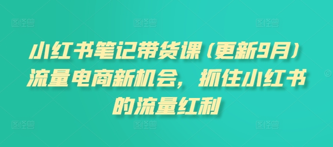 小红书笔记带货课(更新25年5月)流量电商新机会，抓住小红书的流量红利网络赚钱,项目资源网,副业资源网,兼职项目,网赚课程-副业赚钱-互联网创业-独家轻创IP小蜜蜂网创