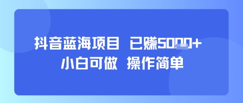 抖音蓝海项目，小白可做，操作简单，可批量制作，已挣5k+网络赚钱,项目资源网,副业资源网,兼职项目,网赚课程-副业赚钱-互联网创业-独家轻创IP小蜜蜂网创