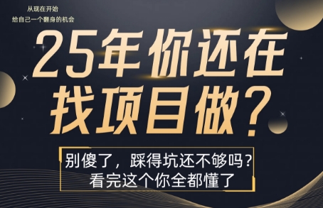 25年，你还在疯狂的找项目吗？别傻了，看完这个你都懂了【揭秘】网络赚钱,项目资源网,副业资源网,兼职项目,网赚课程-副业赚钱-互联网创业-独家轻创IP小蜜蜂网创