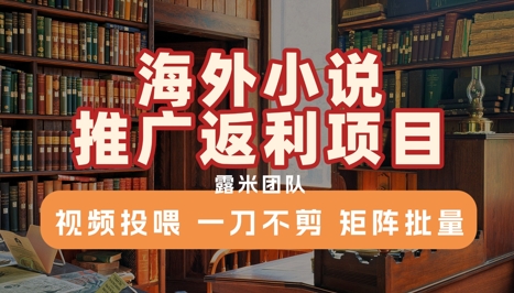 海外小说推广返利项目，视频投喂， 一刀不剪，矩阵批量网络赚钱,项目资源网,副业资源网,兼职项目,网赚课程-副业赚钱-互联网创业-独家轻创IP小蜜蜂网创