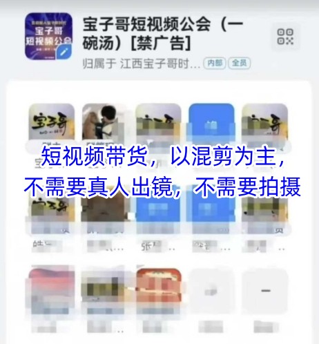 宝子哥头部团队短视频带货，以混剪为主，不需要真人出镜，不需要拍摄【更新8月】网络赚钱,项目资源网,副业资源网,兼职项目,网赚课程-副业赚钱-互联网创业-独家轻创IP小蜜蜂网创