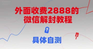外面收费2888的微信解封教程，具体自测网络赚钱,项目资源网,副业资源网,兼职项目,网赚课程-副业赚钱-互联网创业-独家轻创IP小蜜蜂网创