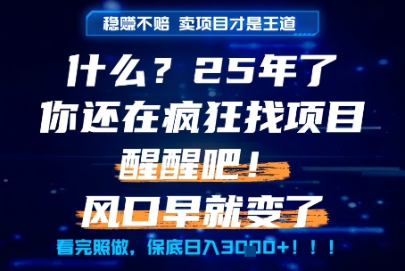 什么？25年你还在疯狂找项目做，醒醒吧，看完这些你全都懂了！【揭秘】网络赚钱,项目资源网,副业资源网,兼职项目,网赚课程-副业赚钱-互联网创业-独家轻创IP小蜜蜂网创