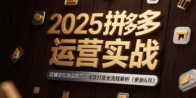 （15235期）2025拼多多运营实战：店铺定位选品技巧，爆款打造全流程解析（更新6月）网络赚钱,项目资源网,副业资源网,兼职项目,网赚课程-副业赚钱-互联网创业-独家轻创IP小蜜蜂网创