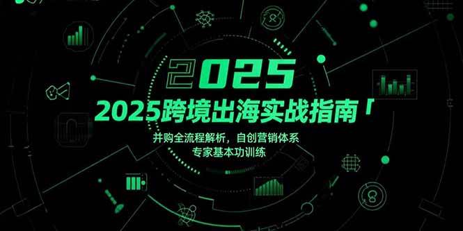 （15503期）2025跨境出海实战指南，并购全流程解析，自创营销体系，专家基本功训练网络赚钱,项目资源网,副业资源网,兼职项目,网赚课程-副业赚钱-互联网创业-独家轻创IP小蜜蜂网创