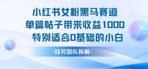 小红书女粉黑马赛道单篇帖子带来收益1k+，特别适合0基础的小白网络赚钱,项目资源网,副业资源网,兼职项目,网赚课程-副业赚钱-互联网创业-独家轻创IP小蜜蜂网创