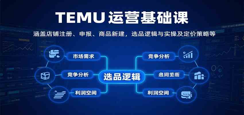 TEMU运营基础课：涵盖店铺注册、申报、商品新建，选品逻辑与实操及定价策略等网络赚钱,项目资源网,副业资源网,兼职项目,网赚课程-副业赚钱-互联网创业-独家轻创IP小蜜蜂网创