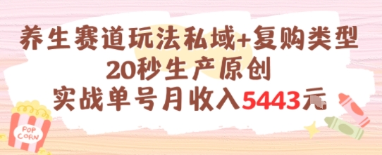 养生赛道玩法私域+复购类型，20秒生产原创实战单号月收入5k+网络赚钱,项目资源网,副业资源网,兼职项目,网赚课程-副业赚钱-互联网创业-独家轻创IP小蜜蜂网创