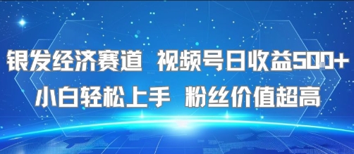 银发经济赛道 视频号日收益5张+ 小白轻松上手 粉丝价值超高网络赚钱,项目资源网,副业资源网,兼职项目,网赚课程-副业赚钱-互联网创业-独家轻创IP小蜜蜂网创