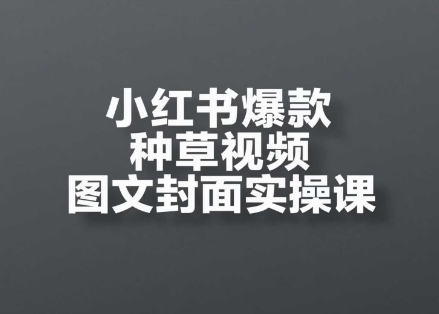 小红书爆款种草视频图文封面实操课，开店、选品、引流、变现全流程网络赚钱,项目资源网,副业资源网,兼职项目,网赚课程-副业赚钱-互联网创业-独家轻创IP小蜜蜂网创