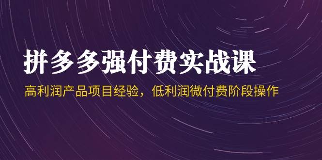 （14874期）拼多多强付费实战课-44期，高利润产品项目经验，低利润微付费阶段操作网络赚钱,项目资源网,副业资源网,兼职项目,网赚课程-副业赚钱-互联网创业-独家轻创IP小蜜蜂网创