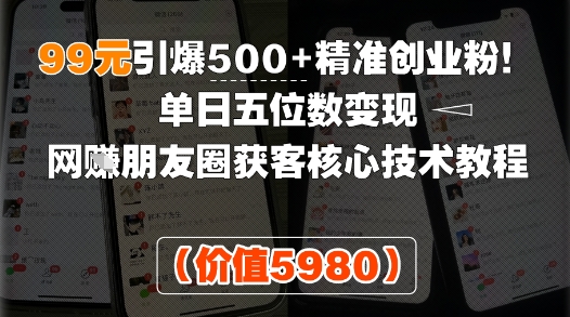 99元引爆500+精准创业粉！单日五位数变现，网创朋友圈获客核心技术教程网络赚钱,项目资源网,副业资源网,兼职项目,网赚课程-副业赚钱-互联网创业-独家轻创IP小蜜蜂网创