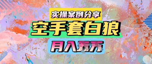 空手套白狼，月入过1W，实操案例分享网络赚钱,项目资源网,副业资源网,兼职项目,网赚课程-副业赚钱-互联网创业-独家轻创IP小蜜蜂网创