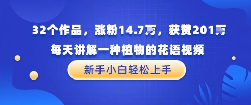 32个作品，涨粉14.7W，获赞201W，每天讲解一种植物的花语视频，无需任何技巧，新手小白轻松上手网络赚钱,项目资源网,副业资源网,兼职项目,网赚课程-副业赚钱-互联网创业-独家轻创IP小蜜蜂网创
