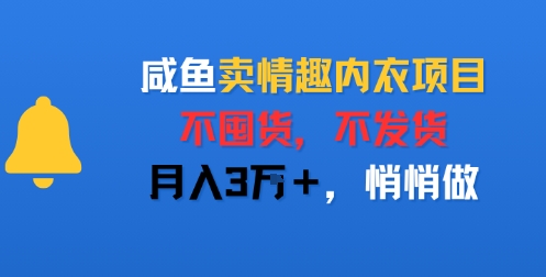 咸鱼卖情趣内衣项目，不囤货，不发货，月入3W+，悄悄做网络赚钱,项目资源网,副业资源网,兼职项目,网赚课程-副业赚钱-互联网创业-独家轻创IP小蜜蜂网创