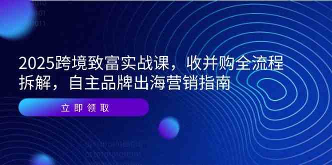 2025跨境致富实战课，收并购全流程拆解，自主品牌出海营销指南网络赚钱,项目资源网,副业资源网,兼职项目,网赚课程-副业赚钱-互联网创业-独家轻创IP小蜜蜂网创