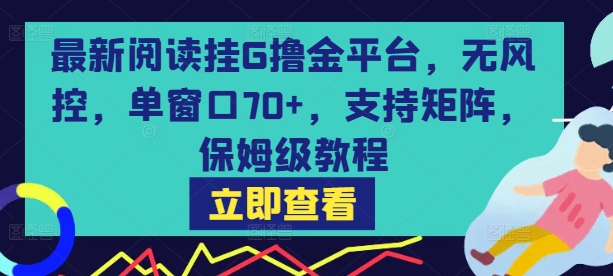 最新阅读挂G撸金平台，无风控，单窗口70+，支持矩阵，保姆级教程【揭秘】网络赚钱,项目资源网,副业资源网,兼职项目,网赚课程-副业赚钱-互联网创业-独家轻创IP小蜜蜂网创