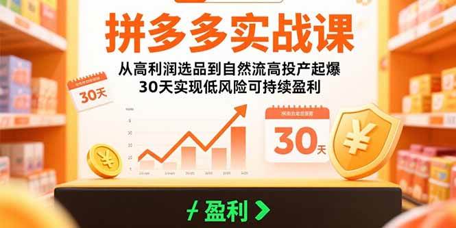 （15586期）拼多多实战课：从高利润选品到自然流高投产起爆 30天实现低风险可持续盈利网络赚钱,项目资源网,副业资源网,兼职项目,网赚课程-副业赚钱-互联网创业-独家轻创IP小蜜蜂网创