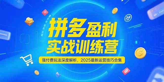 拼多多盈利实战训练营，强付费玩法深度解析，2025最新运营技巧合集网络赚钱,项目资源网,副业资源网,兼职项目,网赚课程-副业赚钱-互联网创业-独家轻创IP小蜜蜂网创