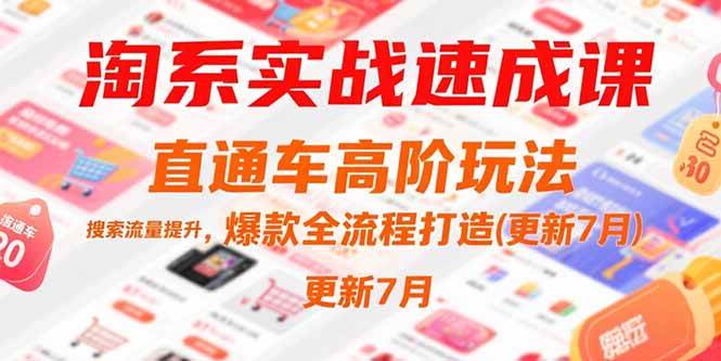 （15374期）淘系实战速成课，直通车高阶玩法，搜索流量提升，爆款全流程打造(更新7月)网络赚钱,项目资源网,副业资源网,兼职项目,网赚课程-副业赚钱-互联网创业-独家轻创IP小蜜蜂网创