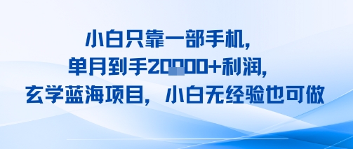 小白只靠一部手机，单月到手2W+利润，玄学蓝海项目，小白无经验也可做网络赚钱,项目资源网,副业资源网,兼职项目,网赚课程-副业赚钱-互联网创业-独家轻创IP小蜜蜂网创
