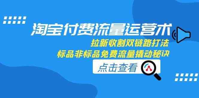 淘宝付费流量运营术，拉新收割双链路打法，标品非标品免费流量撬动秘诀网络赚钱,项目资源网,副业资源网,兼职项目,网赚课程-副业赚钱-互联网创业-独家轻创IP小蜜蜂网创