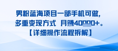 8月新男粉蓝海项目一部手机可做，多重变现方式 月入4W+【详细操作流程拆解】网络赚钱,项目资源网,副业资源网,兼职项目,网赚课程-副业赚钱-互联网创业-独家轻创IP小蜜蜂网创