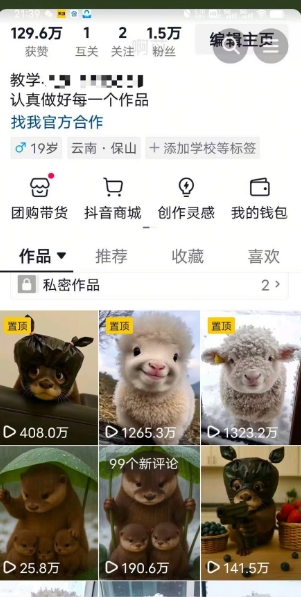 抖音65W博主AI萌宠课程，新赛道流量大，原创+二创，全套课程+提示词网络赚钱,项目资源网,副业资源网,兼职项目,网赚课程-副业赚钱-互联网创业-独家轻创IP小蜜蜂网创
