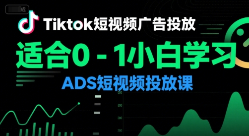 Tiktok短视频广告投放，适合0-1小白学习ADS短视频投放课网络赚钱,项目资源网,副业资源网,兼职项目,网赚课程-副业赚钱-互联网创业-独家轻创IP小蜜蜂网创