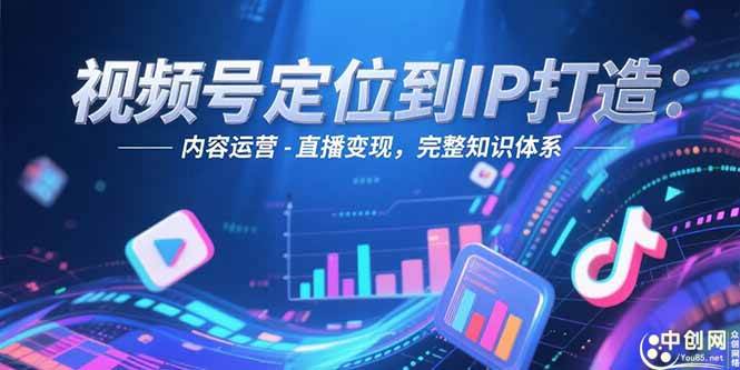 （15173期）视频号定位到IP打造：账号搭建-内容运营-直播变现，完整知识体系网络赚钱,项目资源网,副业资源网,兼职项目,网赚课程-副业赚钱-互联网创业-独家轻创IP小蜜蜂网创