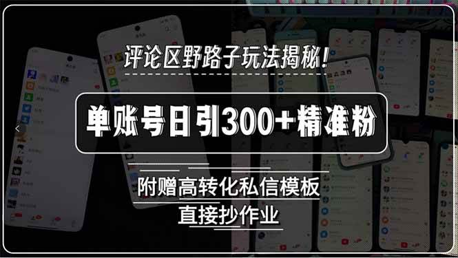 （15466期）评论区野路子玩法揭秘！单账号日引300+精准粉，附赠高转化私信模板，直…网络赚钱,项目资源网,副业资源网,兼职项目,网赚课程-副业赚钱-互联网创业-独家轻创IP小蜜蜂网创