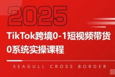 TikTok跨境0-1短视频带货，系统拆解TikTok跨境带货全链路，实现跨境可持续盈利网络赚钱,项目资源网,副业资源网,兼职项目,网赚课程-副业赚钱-互联网创业-独家轻创IP小蜜蜂网创