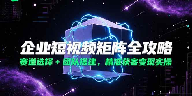 （15242期）企业短视频矩阵全攻略，赛道选择+团队搭建，精准获客变现实操网络赚钱,项目资源网,副业资源网,兼职项目,网赚课程-副业赚钱-互联网创业-独家轻创IP小蜜蜂网创