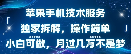 苹果手机技术服务，独家拆解，操作简单，小白可做，月过1W不是梦网络赚钱,项目资源网,副业资源网,兼职项目,网赚课程-副业赚钱-互联网创业-独家轻创IP小蜜蜂网创