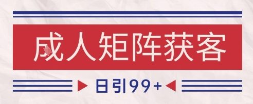小红书某音橙人赛道引流获客，自热矩阵日引200+【揭秘】网络赚钱,项目资源网,副业资源网,兼职项目,网赚课程-副业赚钱-互联网创业-独家轻创IP小蜜蜂网创