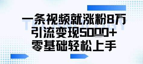 一条视频就涨粉8W引流变现5k+，0基础项目轻松上手网络赚钱,项目资源网,副业资源网,兼职项目,网赚课程-副业赚钱-互联网创业-独家轻创IP小蜜蜂网创