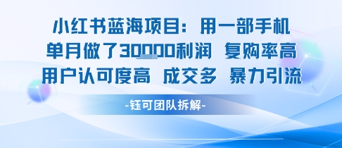 小红书蓝海项目，一部手机单月做了3W利润，小白也能月入过1W用户认可度高成交多网络赚钱,项目资源网,副业资源网,兼职项目,网赚课程-副业赚钱-互联网创业-独家轻创IP小蜜蜂网创