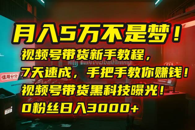 （15595期）月入5万不是梦！视频号带货新手教程，7天速成，手把手教你赚钱！视频号…网络赚钱,项目资源网,副业资源网,兼职项目,网赚课程-副业赚钱-互联网创业-独家轻创IP小蜜蜂网创