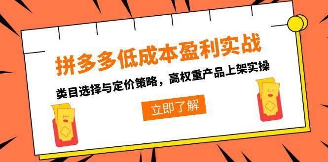 （15143期）拼多多低成本盈利实战，类目选择与定价策略，高权重产品上架实操网络赚钱,项目资源网,副业资源网,兼职项目,网赚课程-副业赚钱-互联网创业-独家轻创IP小蜜蜂网创
