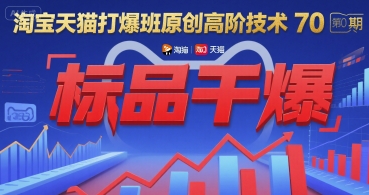 淘宝天猫打爆班原创高阶技术第70期：标品干爆网络赚钱,项目资源网,副业资源网,兼职项目,网赚课程-副业赚钱-互联网创业-独家轻创IP小蜜蜂网创